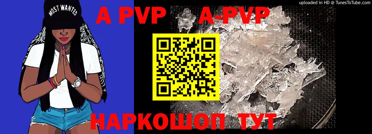 Урус-Мартан  APVP СК КРИС  Вход с VPN 